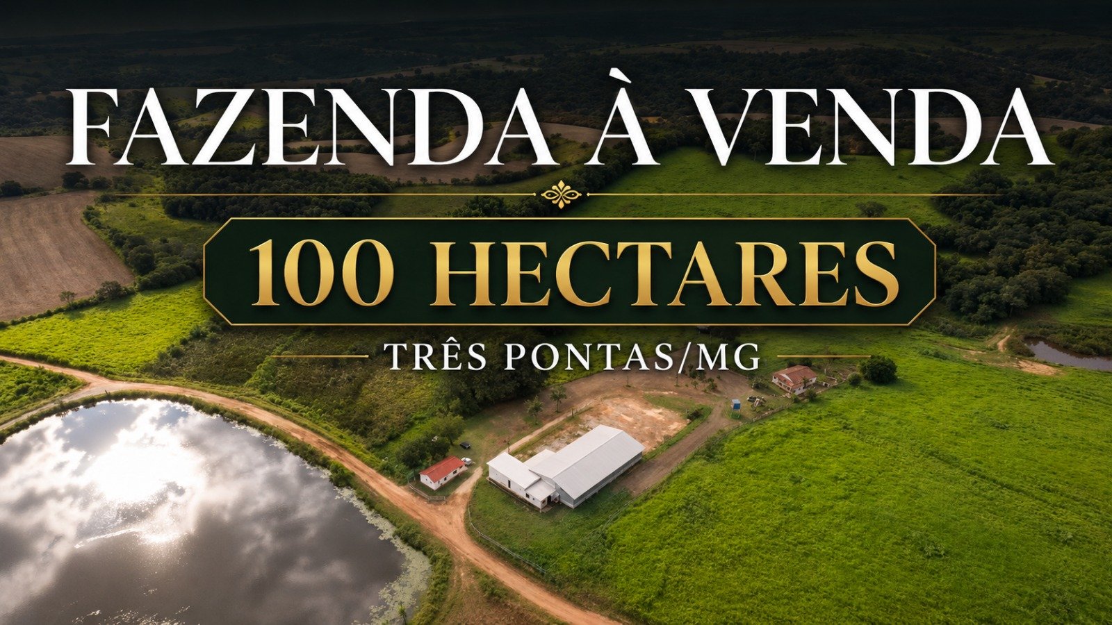 FAZENDA À VENDA | 100 HECTARES | TRÊS PONTAS/MG