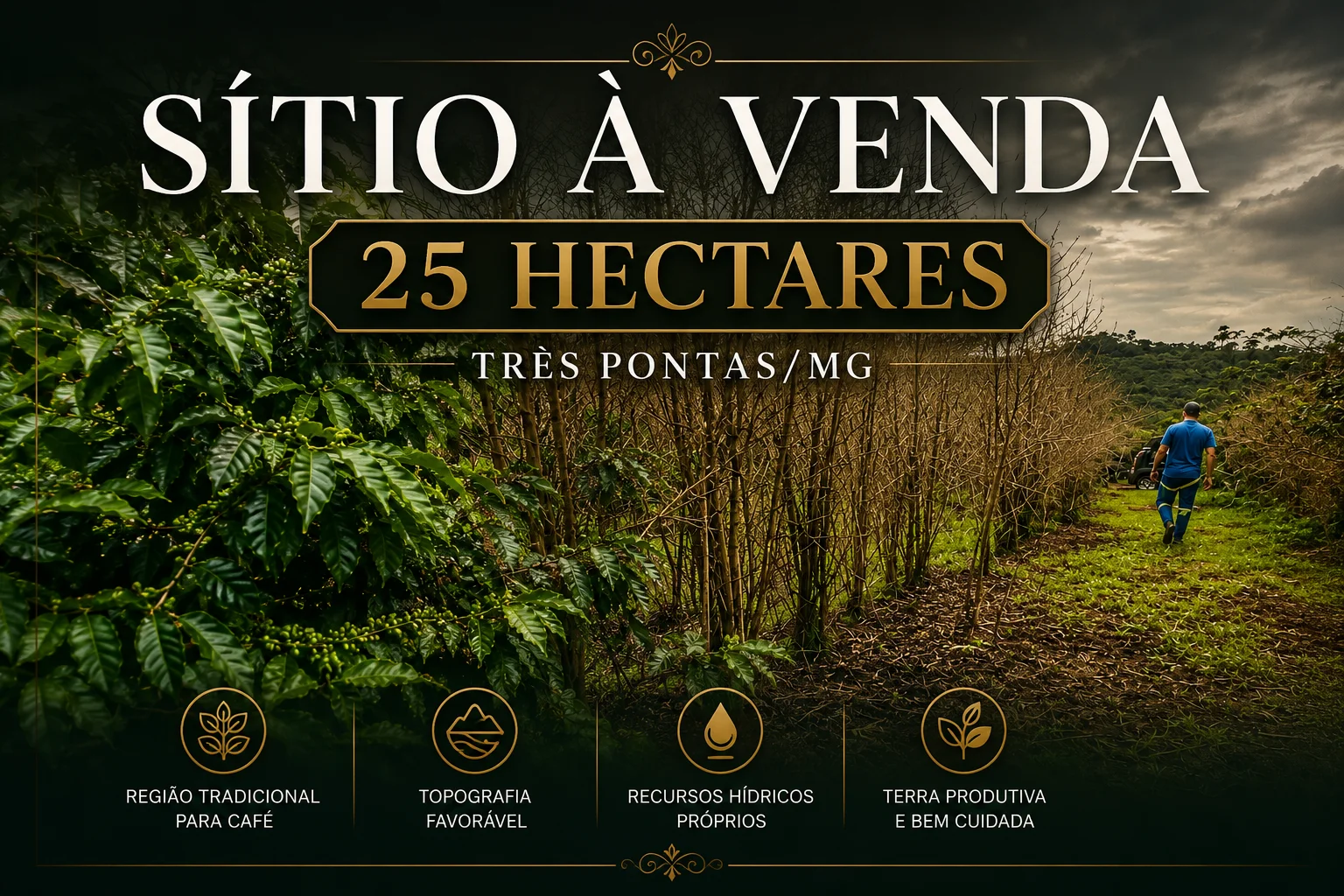 OPORTUNIDADE EXCLUSIVA | SÍTIO À VENDA Entre Varginha e Três Pontas | Sul de Minas Gerais