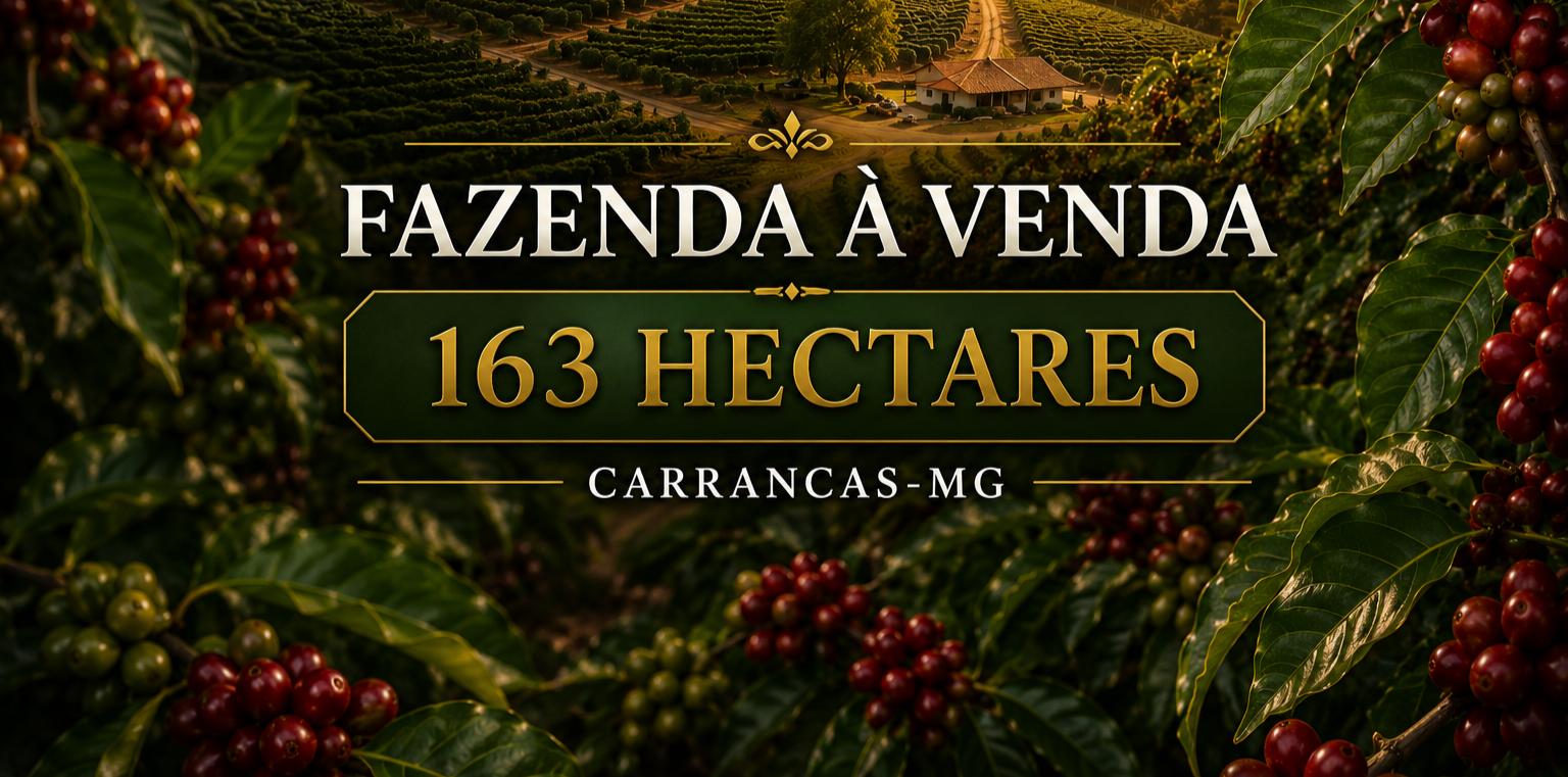  Fazenda do Formoso – Carrancas/MG