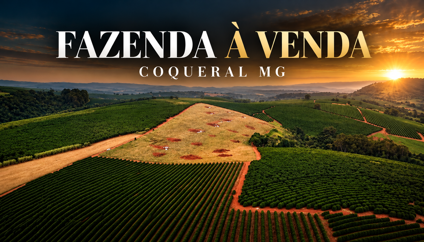 FAZENDA CAFEEIRA À VENDA — COQUEIRAL/MG