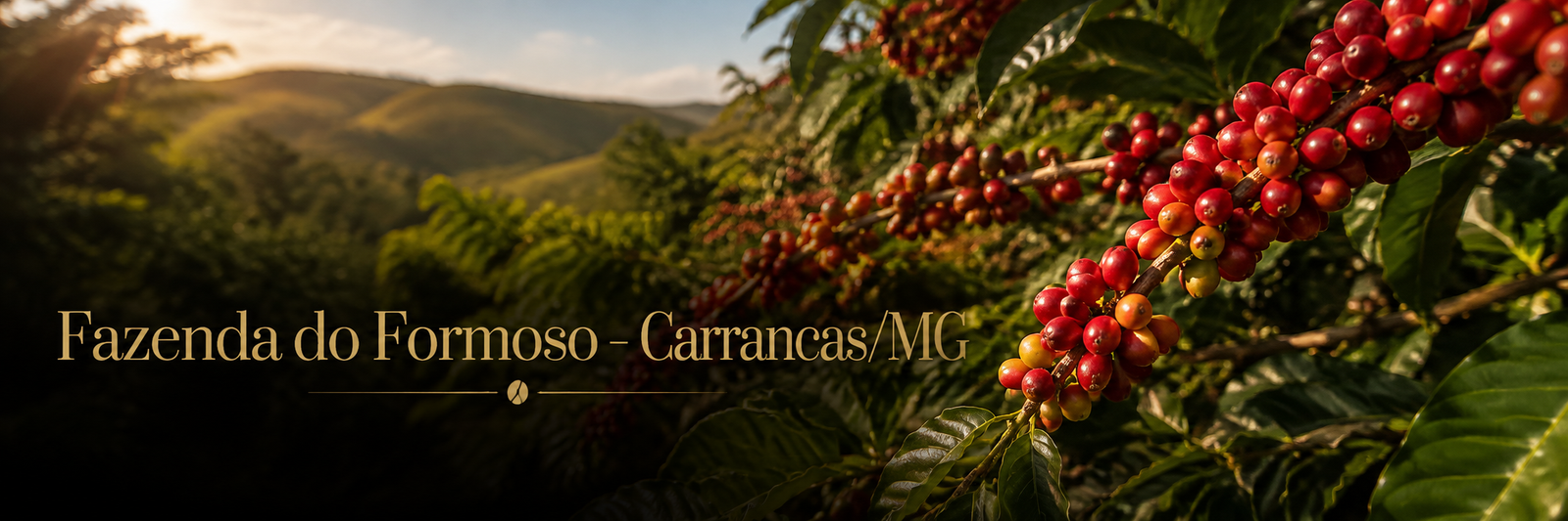 Fazenda do Formoso – Carrancas/MG