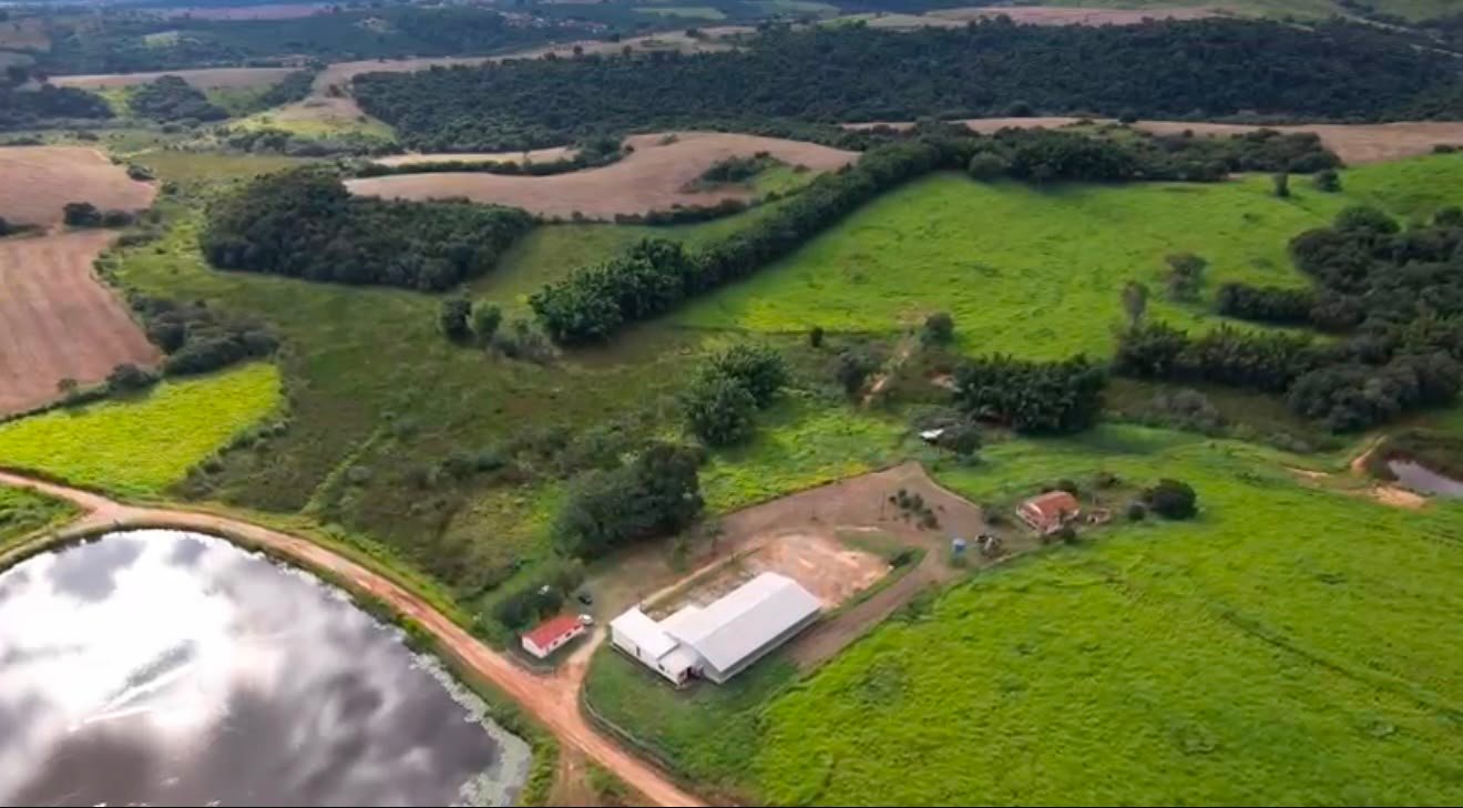 FAZENDA À VENDA | 100 HECTARES | TRÊS PONTAS/MG