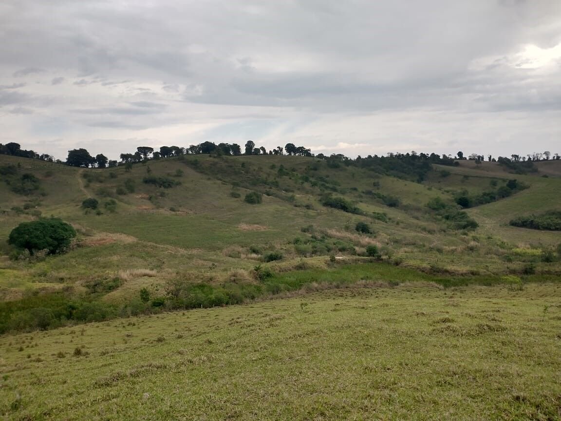 Foto 4 da propriedade