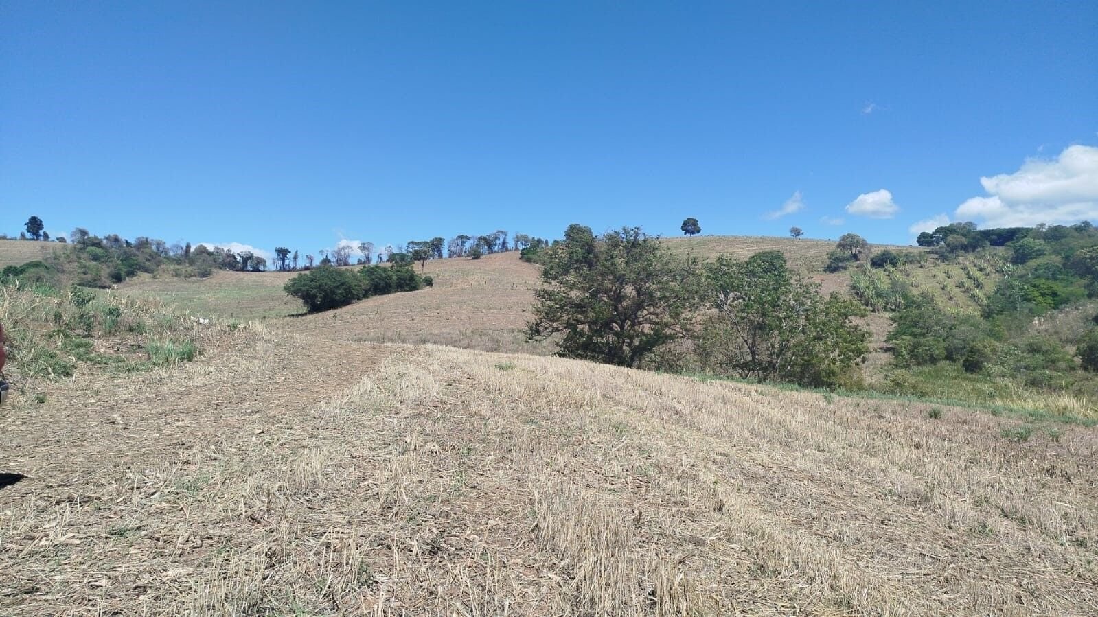 Foto 5 da propriedade