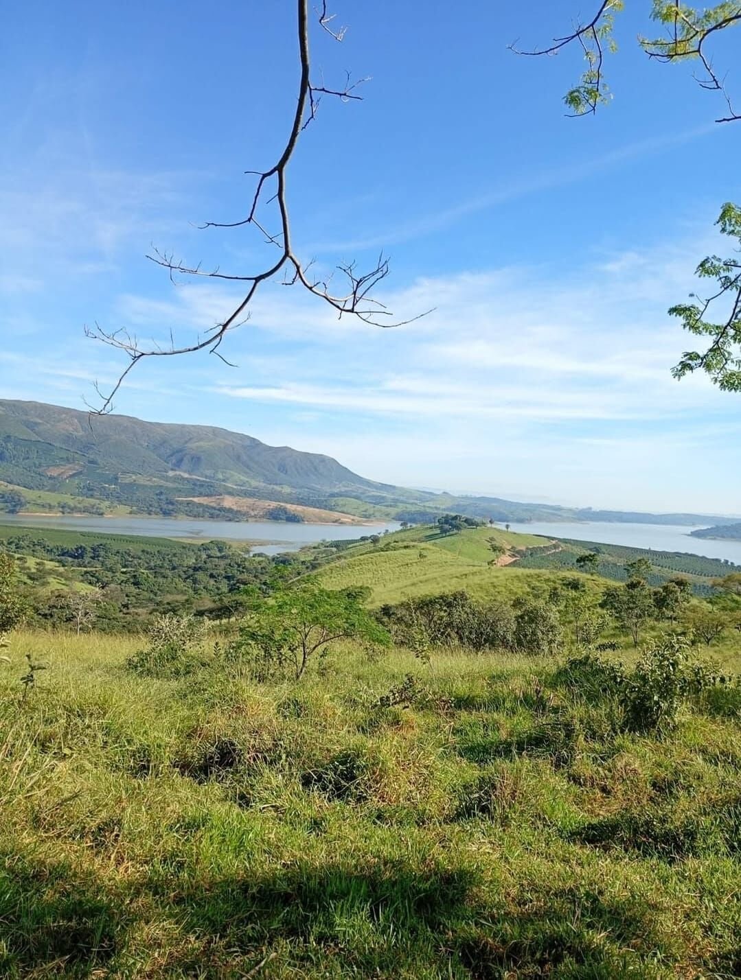 FAZENDA EM CAFÉ À VENDA | BOA ESPERANÇA – MG