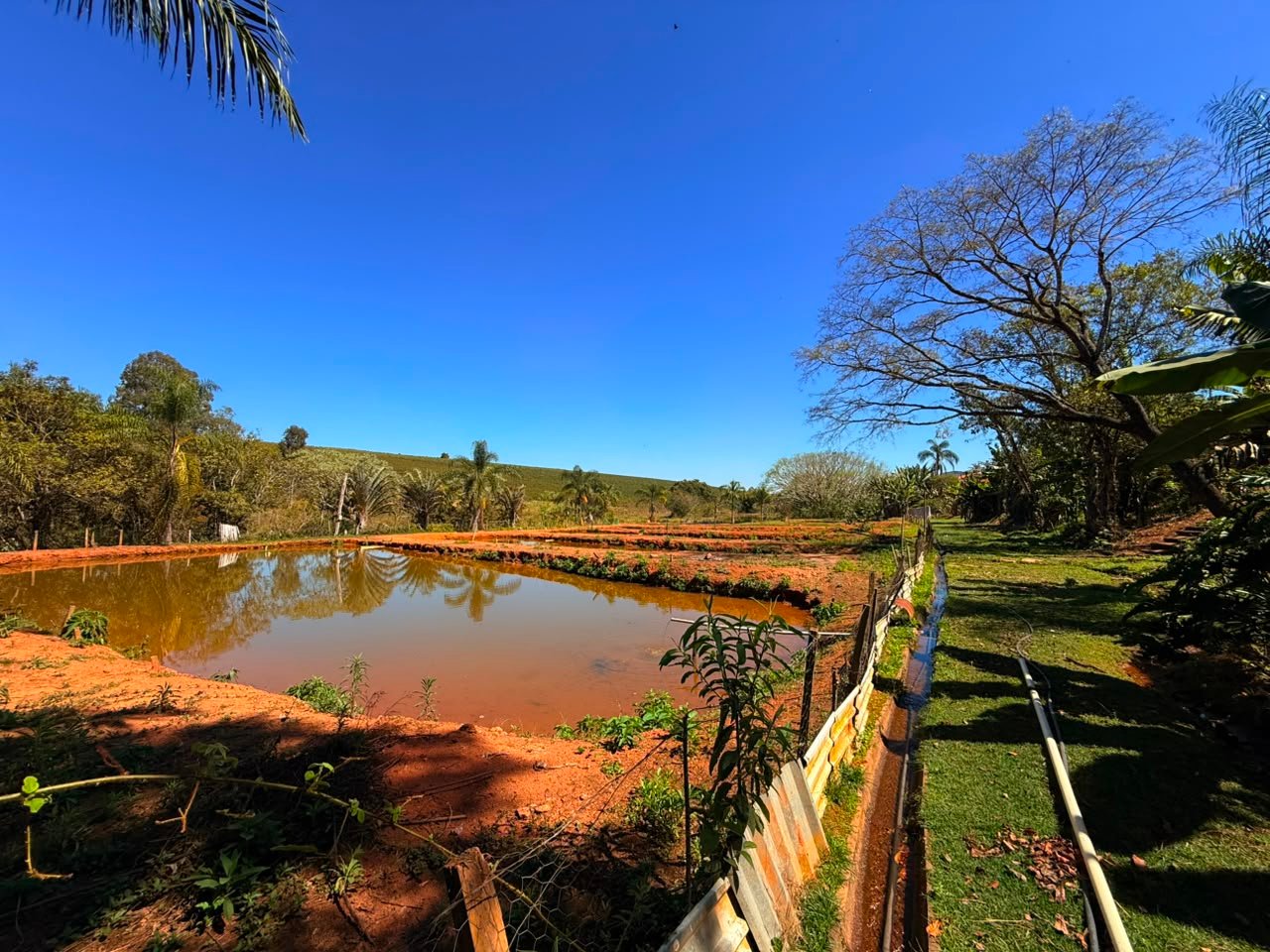 Foto 5 da propriedade