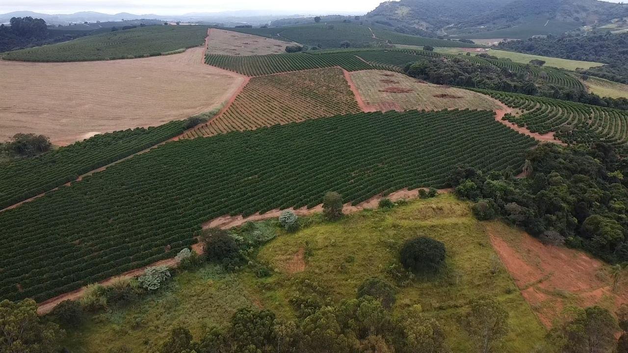 Foto 4 da propriedade